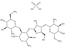 Neomycin Sulfate